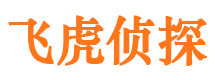 蕉城寻人公司